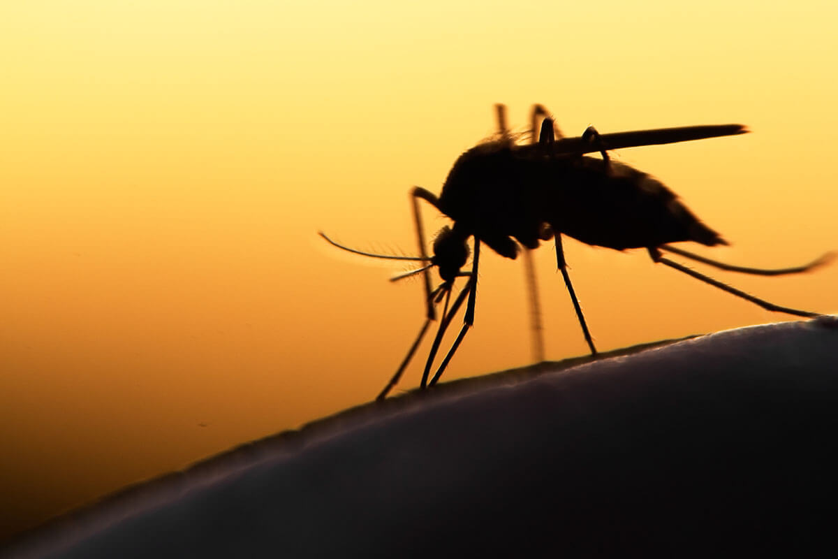 Malaria im Urlaub vorbeugen