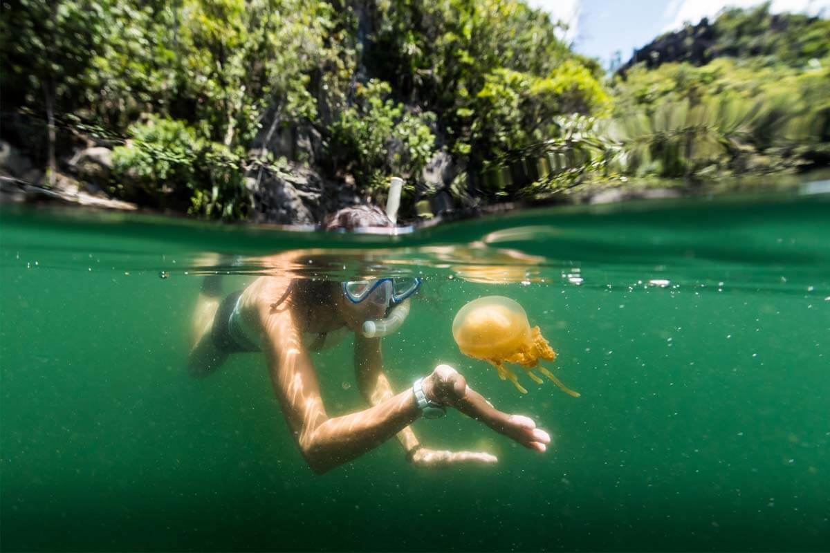 Beim Baden im Meer ist ein Kontakt mit Quallen nicht auszuschließen. Beim Baden im Meer ist ein Kontakt mit Quallen nicht auszuschließen.