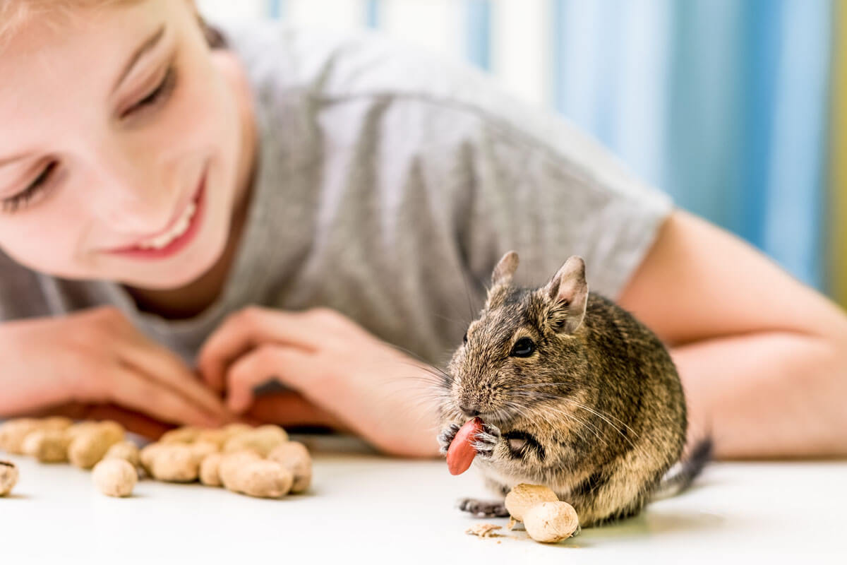 Wächst sich die Erdnussallergie aus?