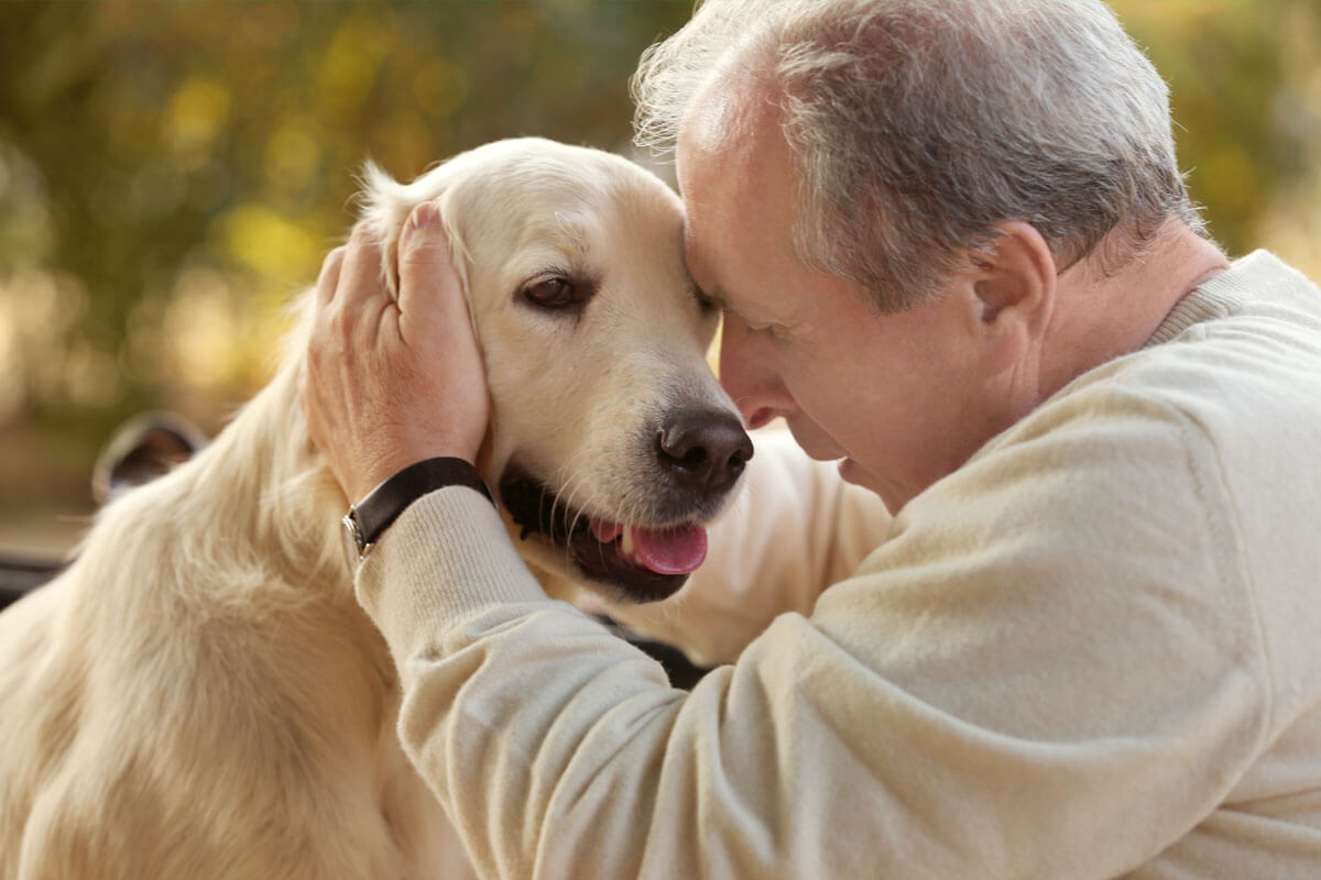 Hund schützt Herz, © Africa Studio/Shutterstock.com