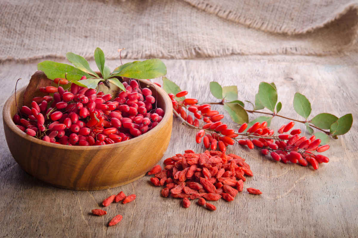 Nahrungsergänzung im Blick: Goji-Beeren