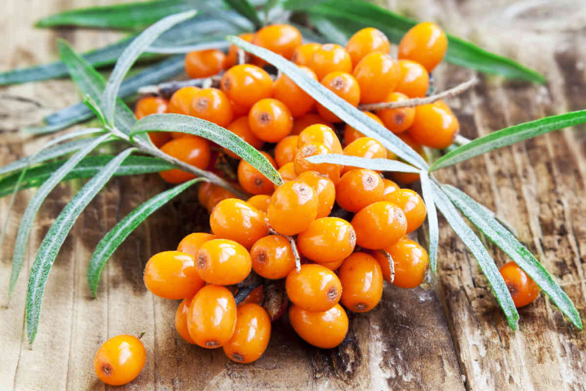 Nahrungsergänzung im Blick: Vitamin C, © catalina.m/Shutterstock.com