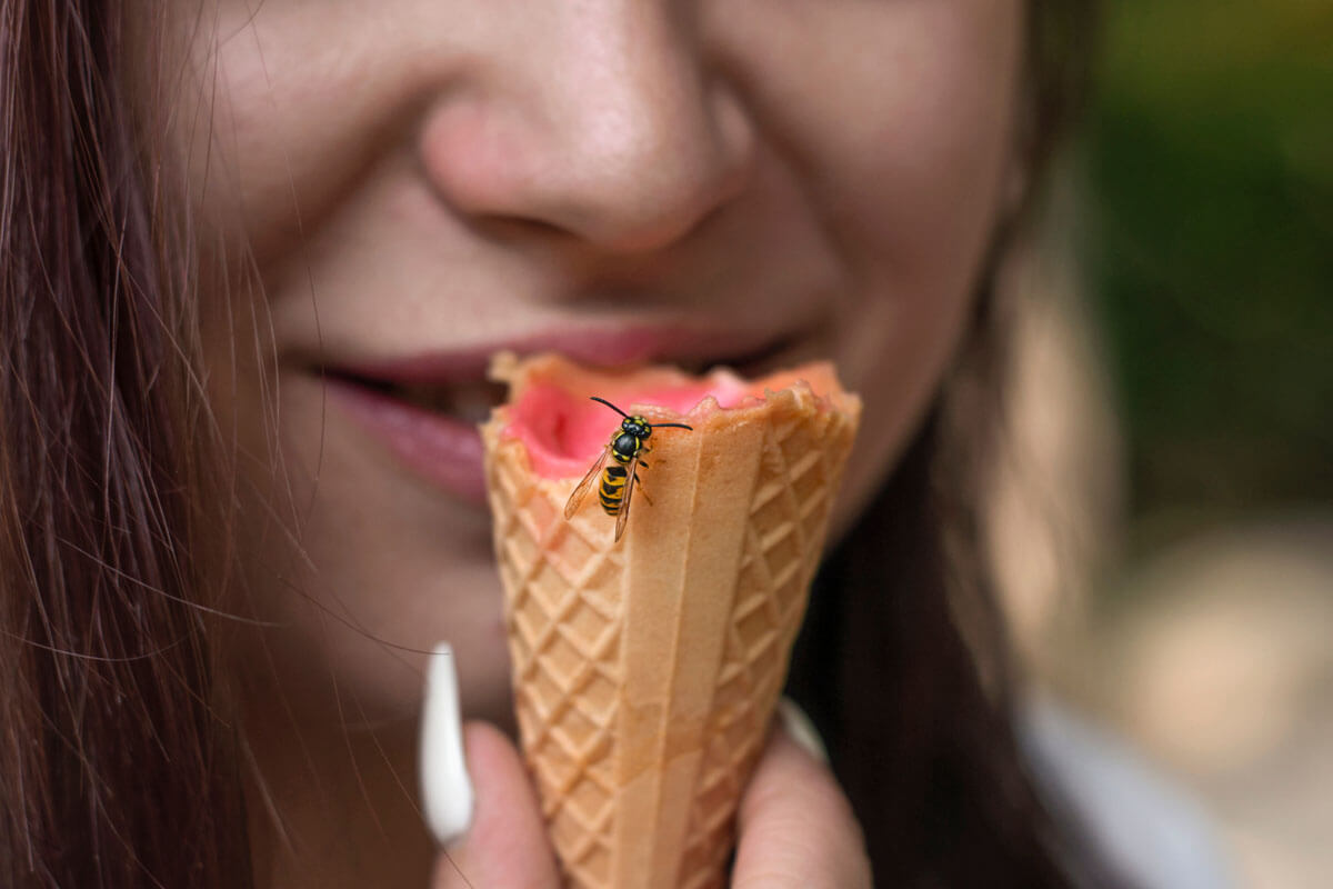 Erste Hilfe beim Wespenstich, © Geiger/shutterstock.com