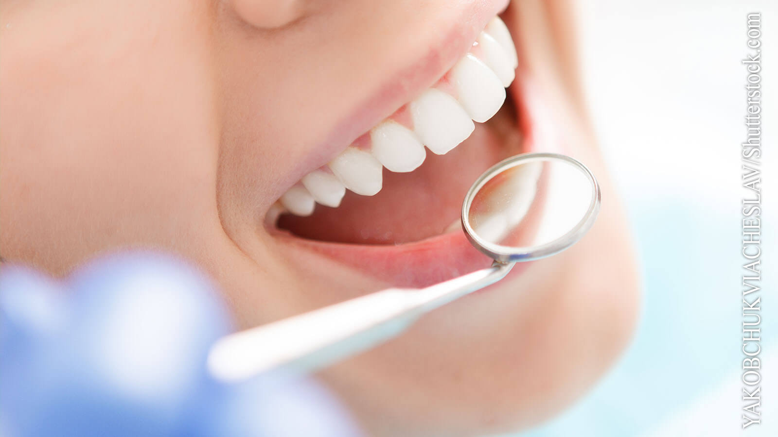 Krankheiten & Therapie: Zähne und Kiefer